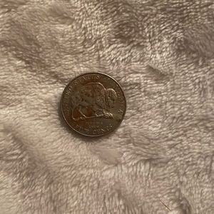Rare 2005 buffalo nickel